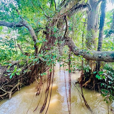 Sigiriya River Side Villa ภายนอก รูปภาพ