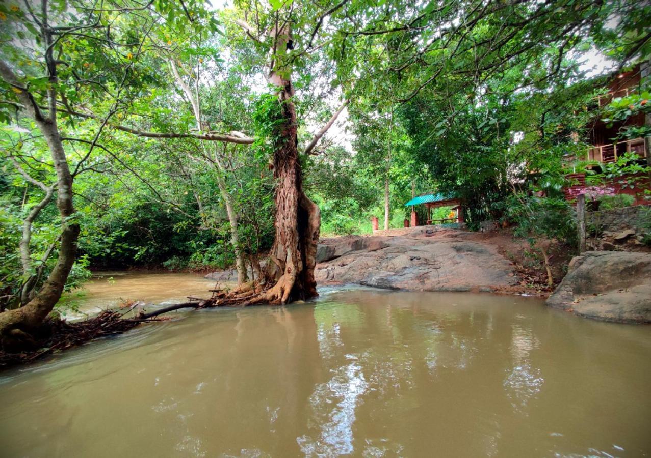 Sigiriya River Side Villa ภายนอก รูปภาพ
