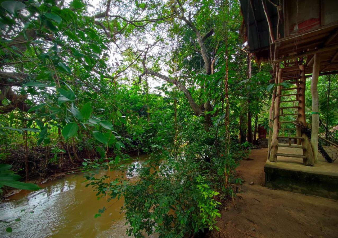 Sigiriya River Side Villa ภายนอก รูปภาพ