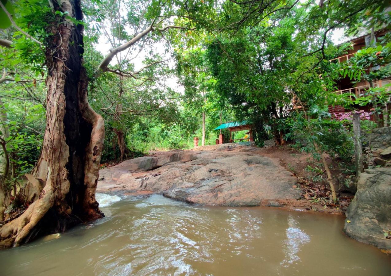 Sigiriya River Side Villa ภายนอก รูปภาพ