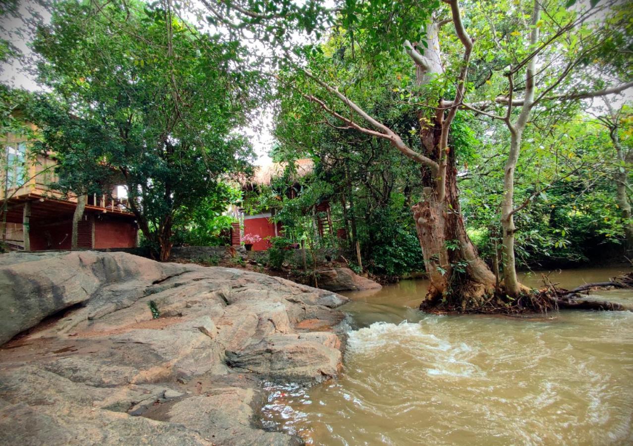 Sigiriya River Side Villa ภายนอก รูปภาพ