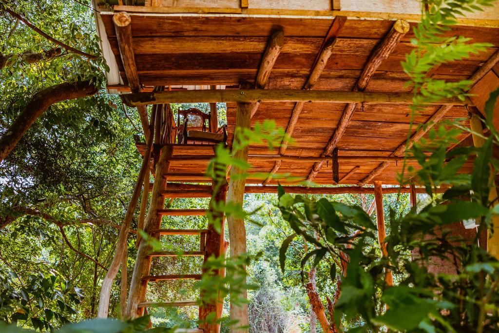 Sigiriya River Side Villa ภายนอก รูปภาพ