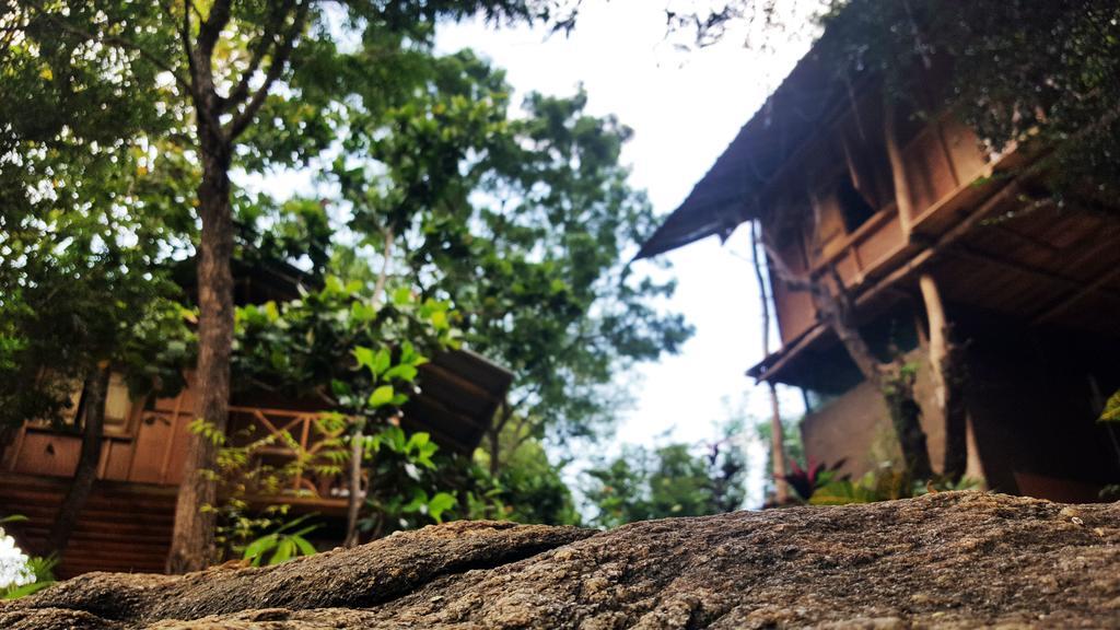 Sigiriya River Side Villa ภายนอก รูปภาพ