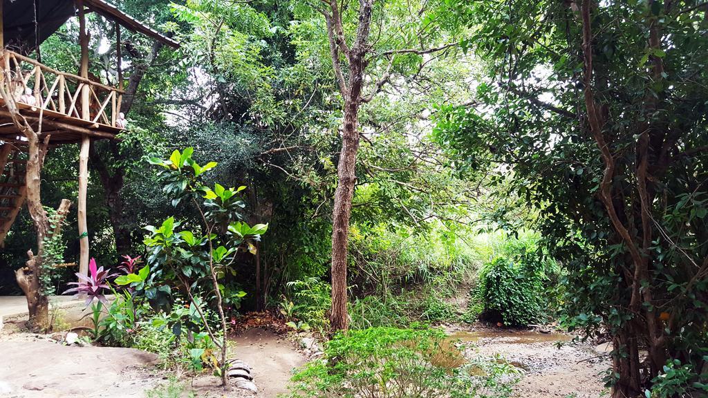 Sigiriya River Side Villa ภายนอก รูปภาพ