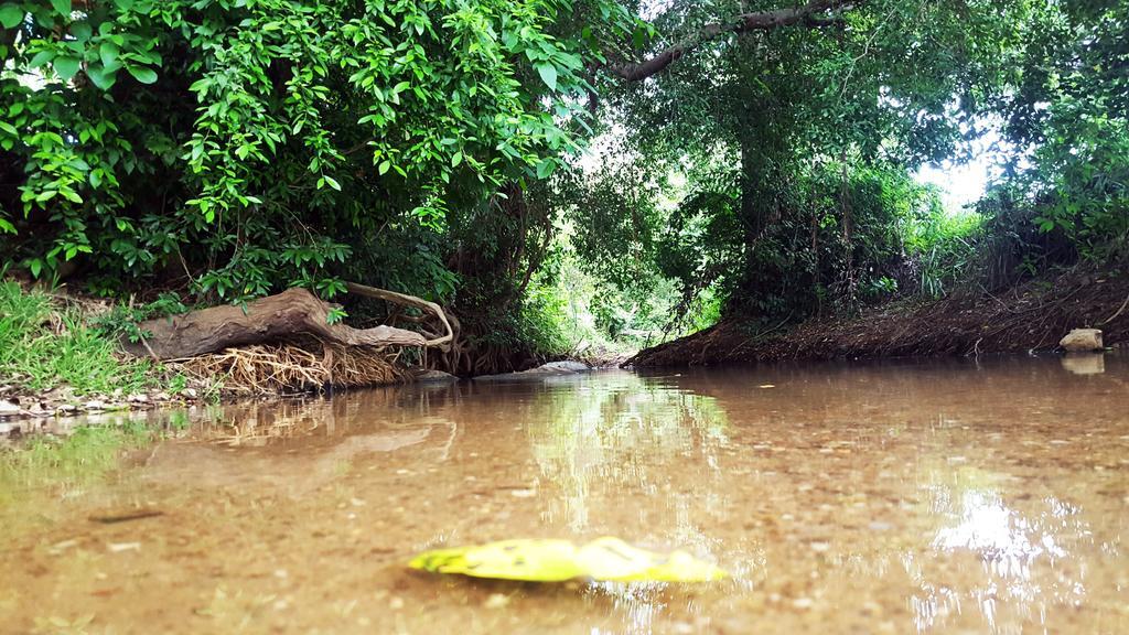 Sigiriya River Side Villa ภายนอก รูปภาพ